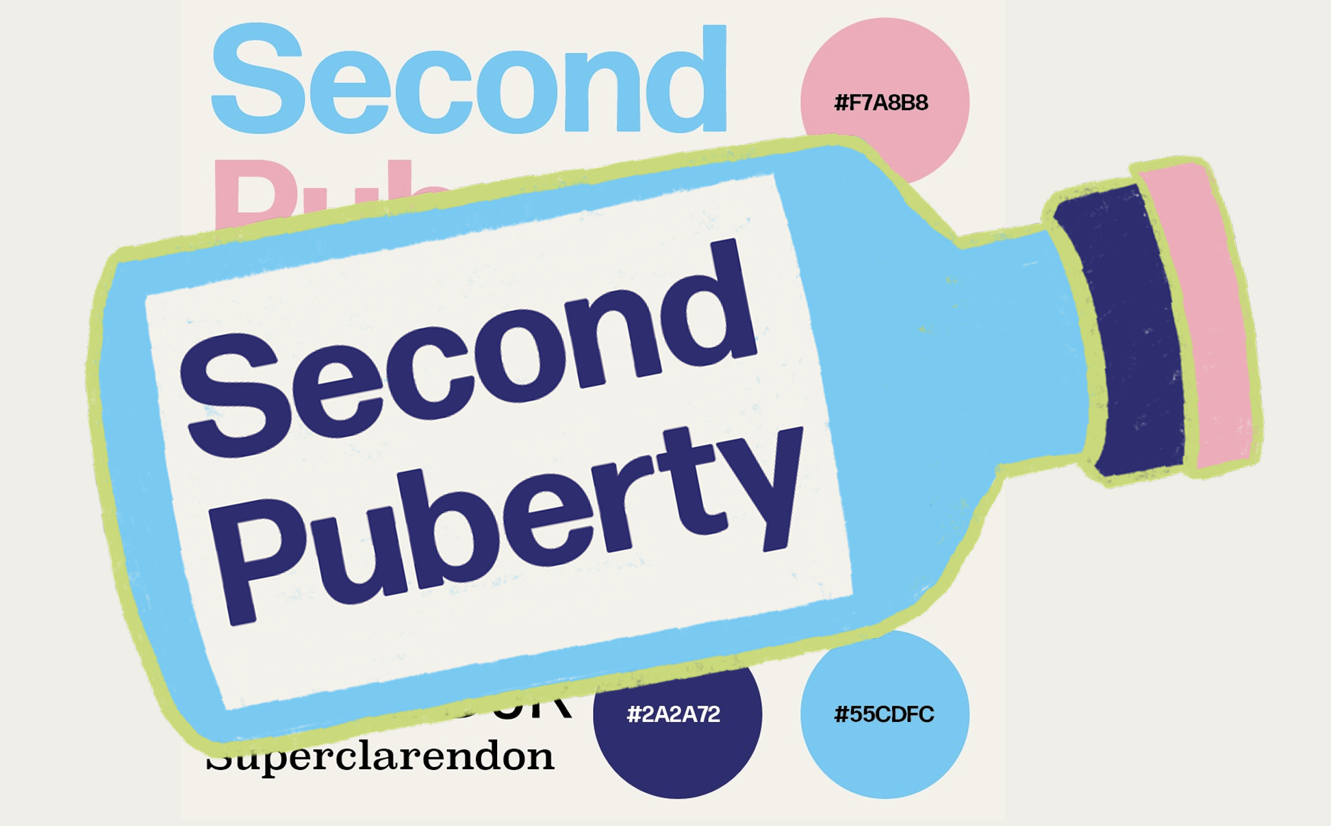 Previous Capstone Image